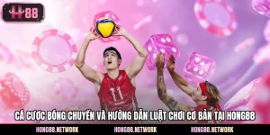 Tin Tức - Hong88